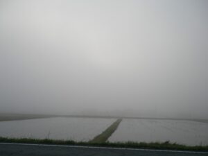 先日の物凄い霧、梅雨時期は多いのかな？