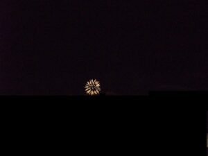 先日の打ち上げ花火の写真。