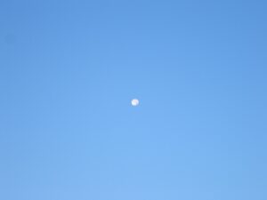 最近は、早起きで4時起き。早朝の月の写真。