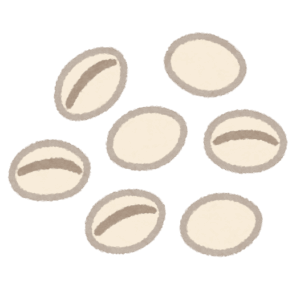 最近、よく食べている麦。食物繊維と炭水化物、ちょっとタンパク質。